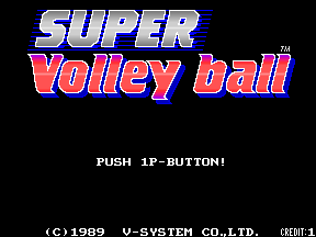 Play <b>Super Volleyball (Japan)</b> Online